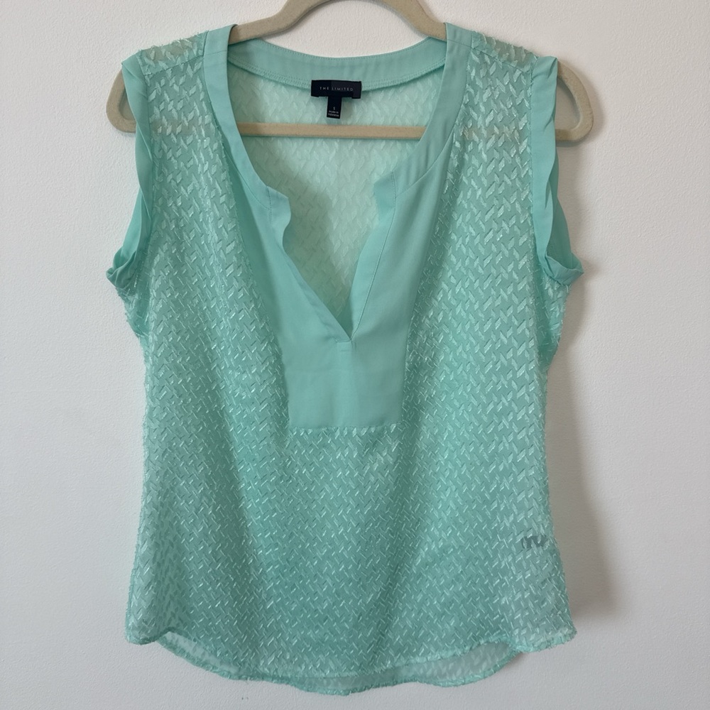The Limited Mint Green Sheer Sleeveless Blouse Small Textured Chiffon Career Top